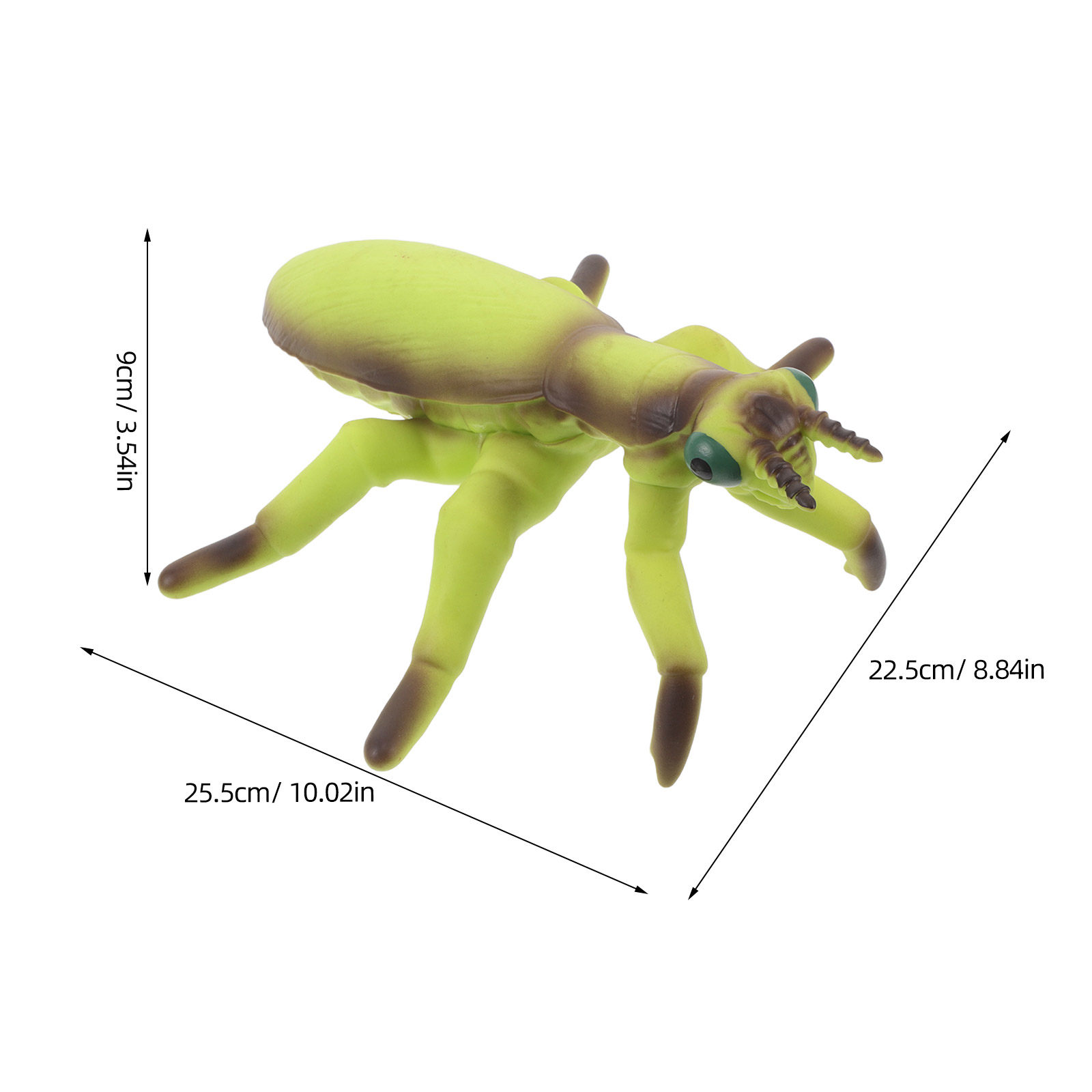 Realistic Grasshopper & Mantis - Kids Yard Toys 评论和价格